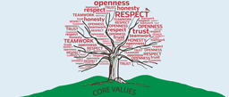 Our Values Small